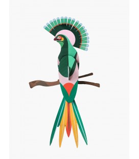 Paradise bird - Gili - Studio Roof